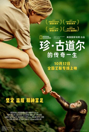 高分悬疑推理佳作合集封面